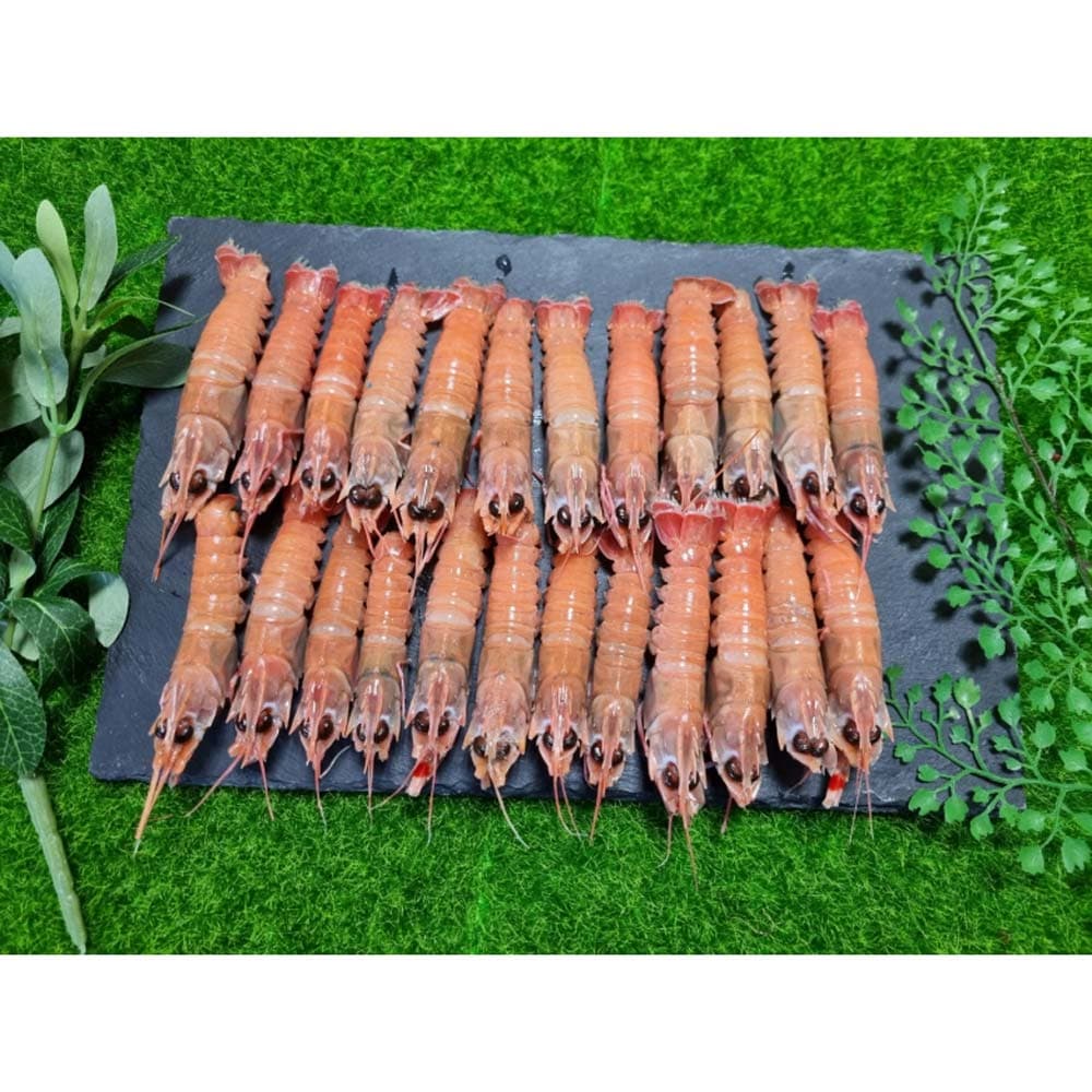 살고동 1kg 20~25미