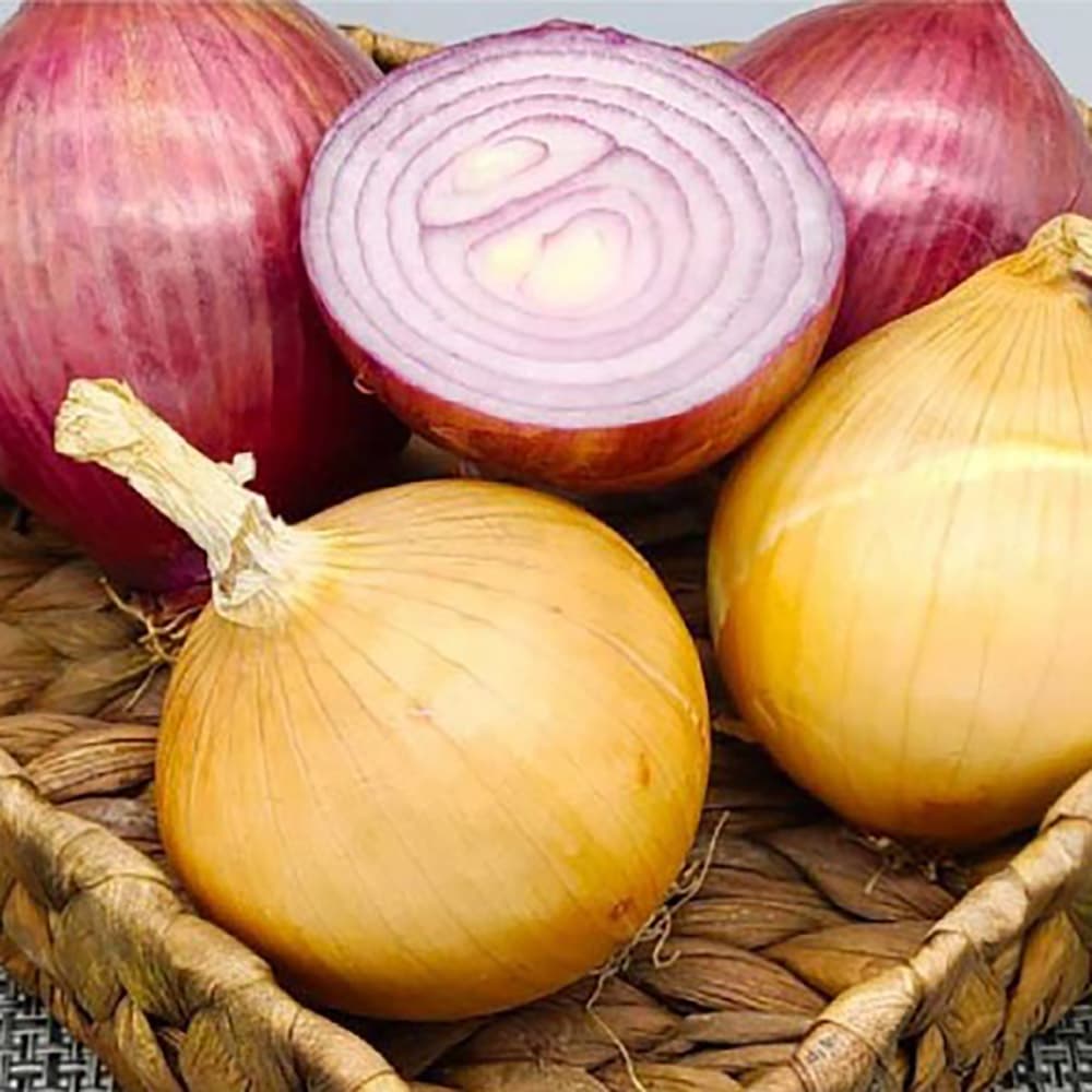 수입산 세척당근 5kg(특품 개당 평균 300~450g)
