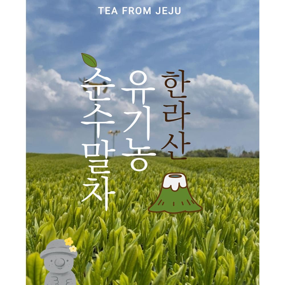 제주 유기농 말차 1팩