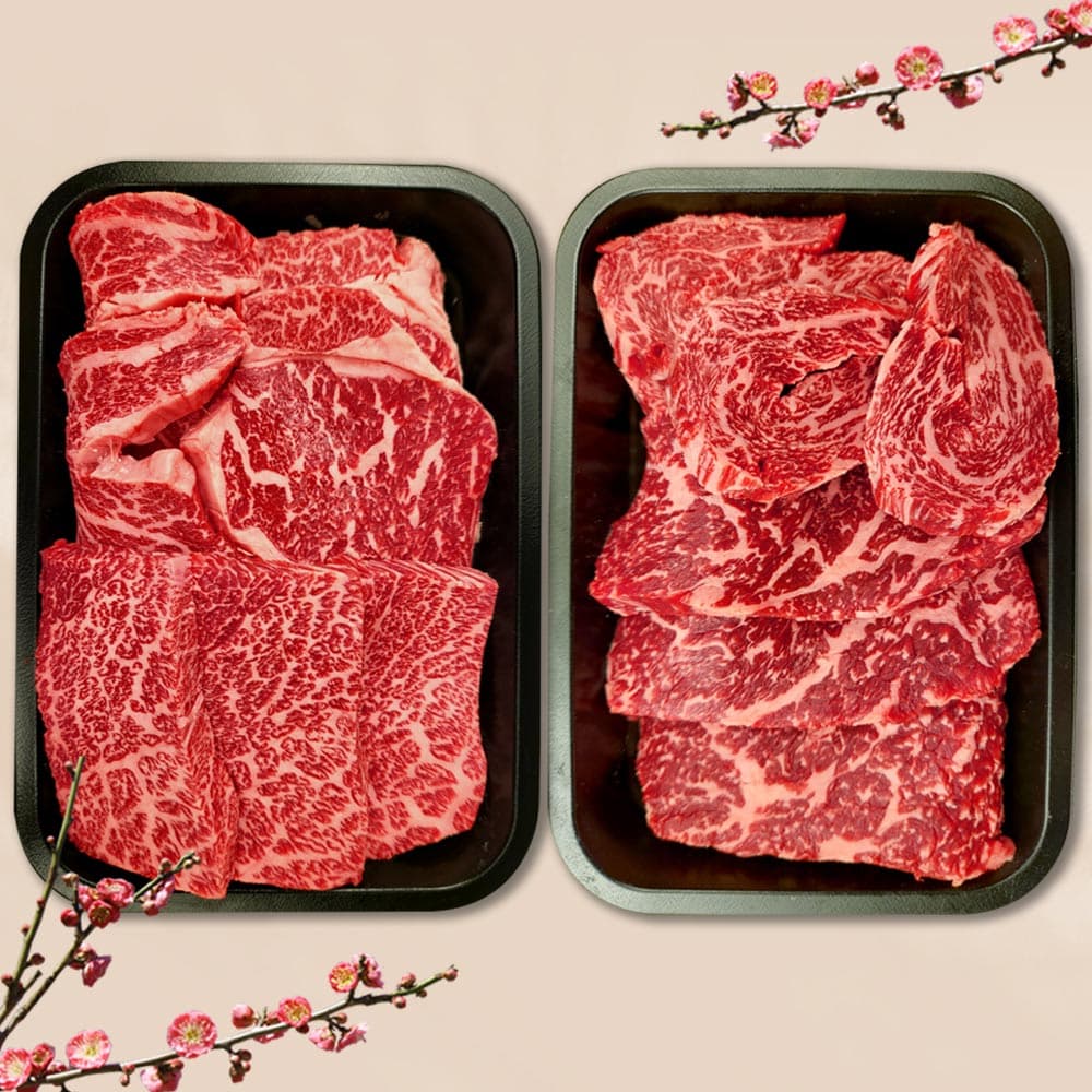 1++투플한우 구이세트 등심,살치살 400g 1팩 2종(냉장)