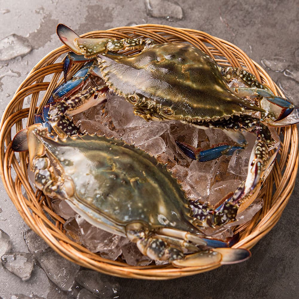 연평도 활꽃게 숫꽃게 중 1kg(3-5 미)