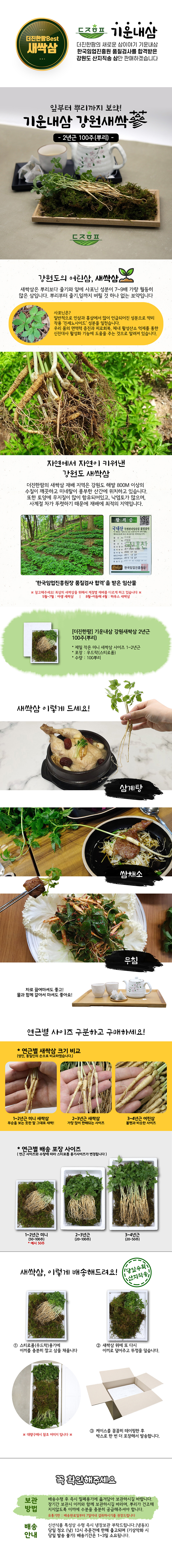 더진한팜 새싹삼 2년근 100주(뿌리) 상세이미지