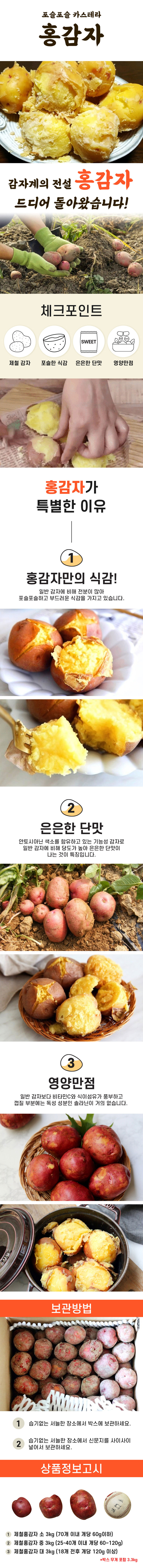 1년에 딱2달 제철 포슬포슬 카스테라 홍감자 제철홍감자中3.3kg(25-40개내외) 상세이미지