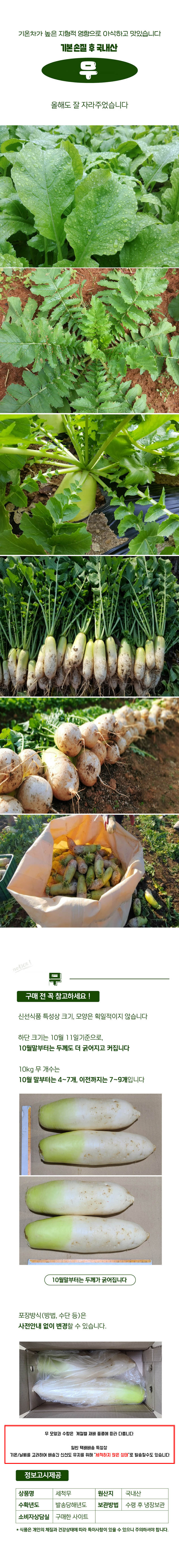 국산 무 5kg 상세이미지