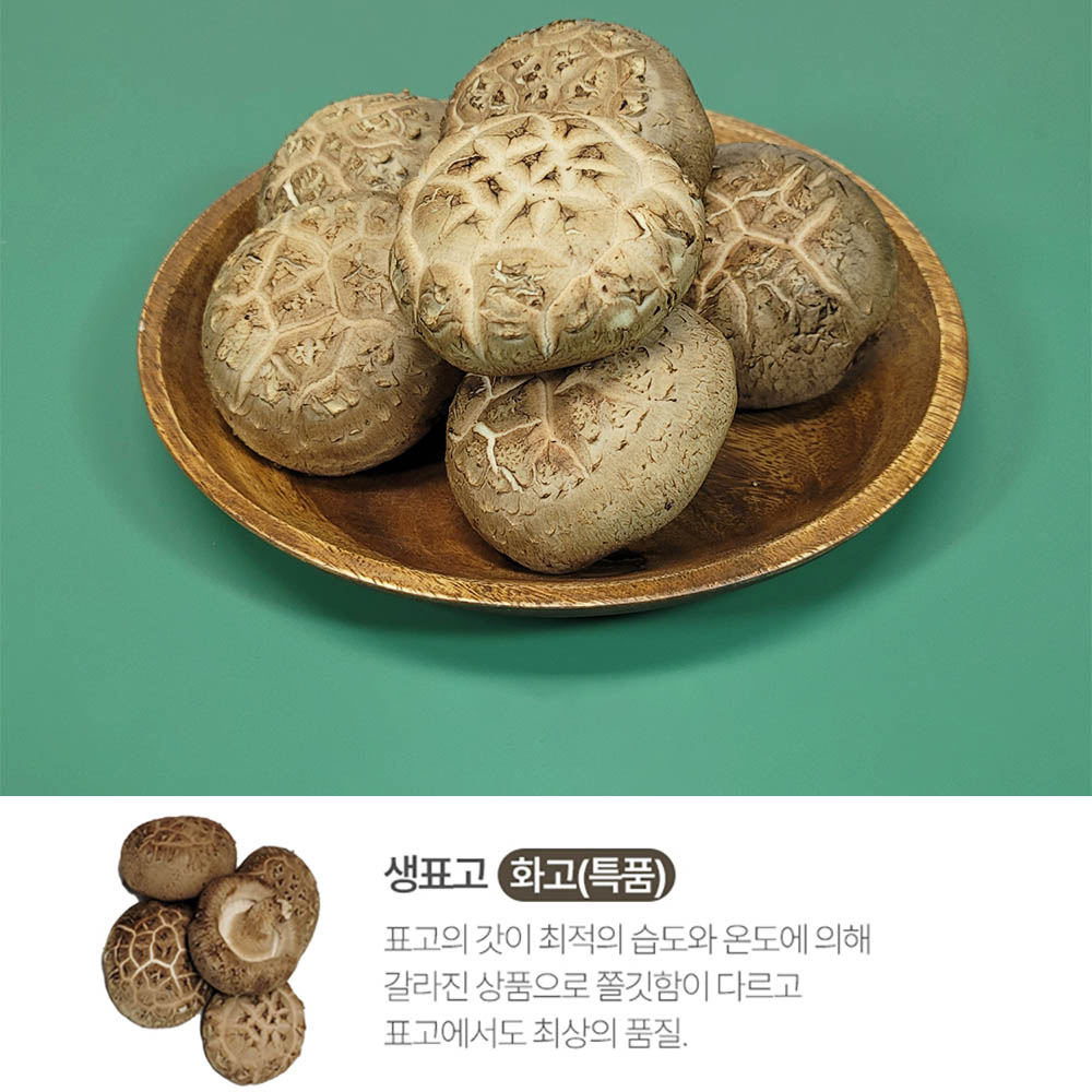 픽뎃 자연의향 쫄깃한 식감을 자랑하는 국내산 생표고버섯 (화고) 1kg 상세이미지