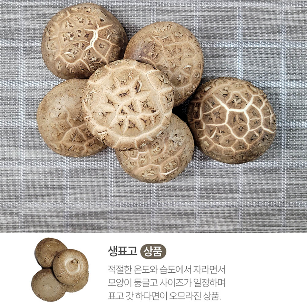 픽뎃 자연의향 쫄깃한 식감을 자랑하는 국내산 생표고버섯 (상) 2kg 상세이미지