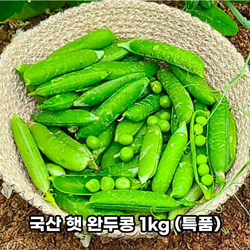 국산 햇 완두콩 1kg (특품/꽁깍지포함) 상세이미지