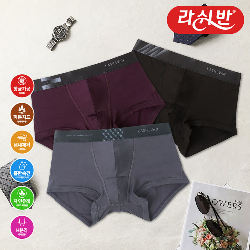 라쉬반 데일리 골든아이 루나3종 상세이미지