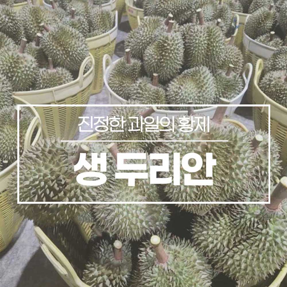 진정한 과일의 황제 생두리안 9kg 5-6수 상세이미지