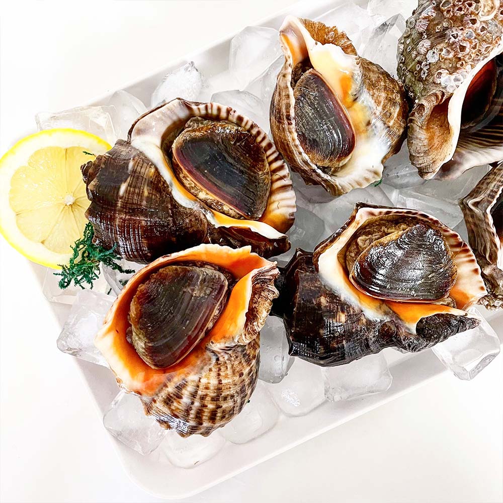 자연산 참소라 1kg (5~8미) 상세이미지