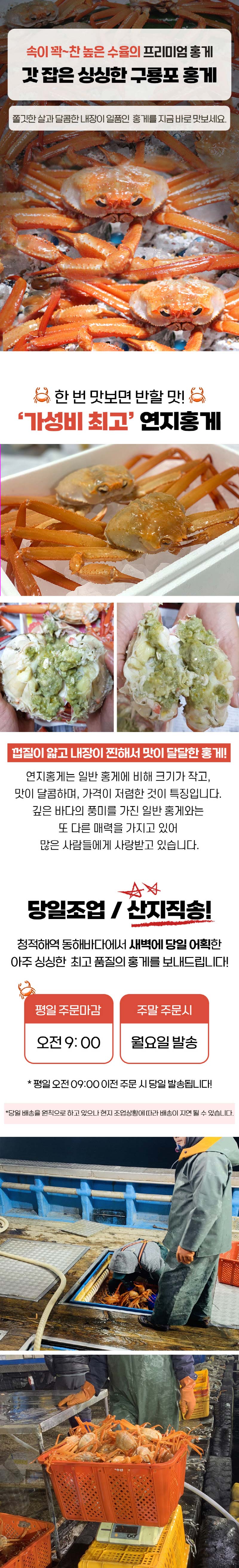 햇땅 연지홍게 자숙 찜 포항 구룡포 실속형 4kg 12-18마리 제철 홍게 상세이미지