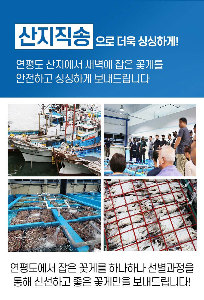 연평도 활꽃게 숫꽃게 중 1kg(3-5 미) 상세이미지